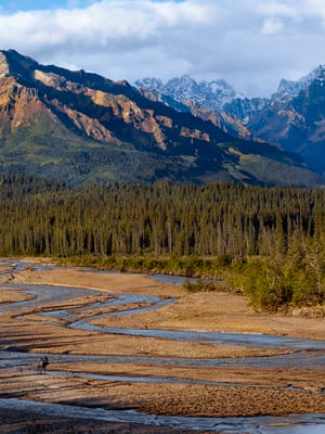 denali national park